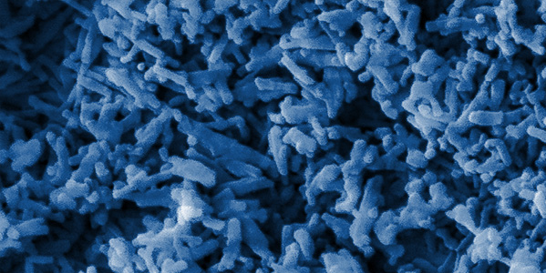 nanostructure.jpg
