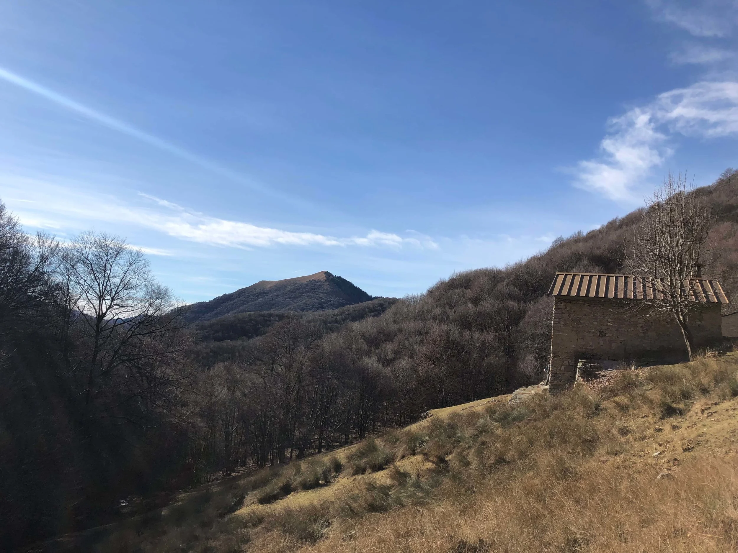 LR AlpeCastello_vistaBoglia_Hikingcomolake.jpg