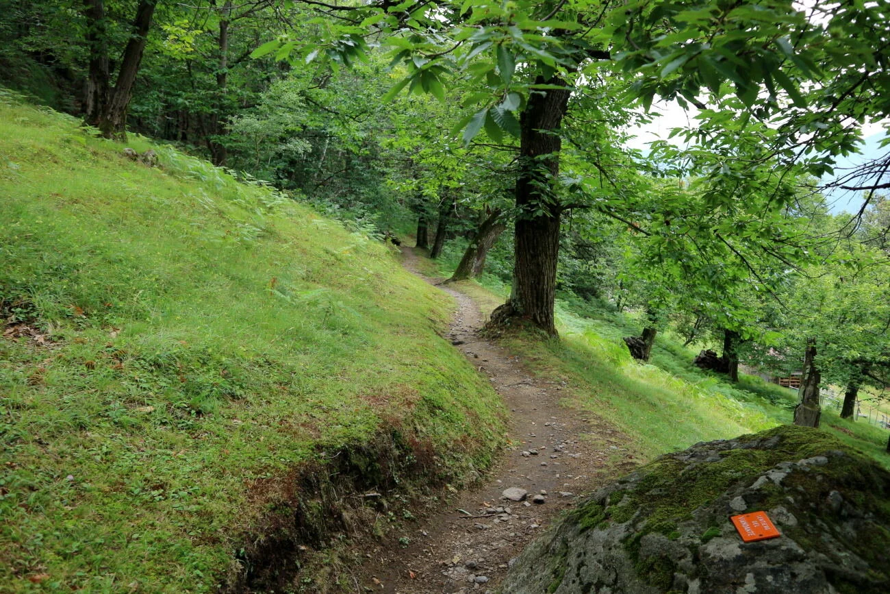 #Northlakecomo hike: Colico - Wayfarer path