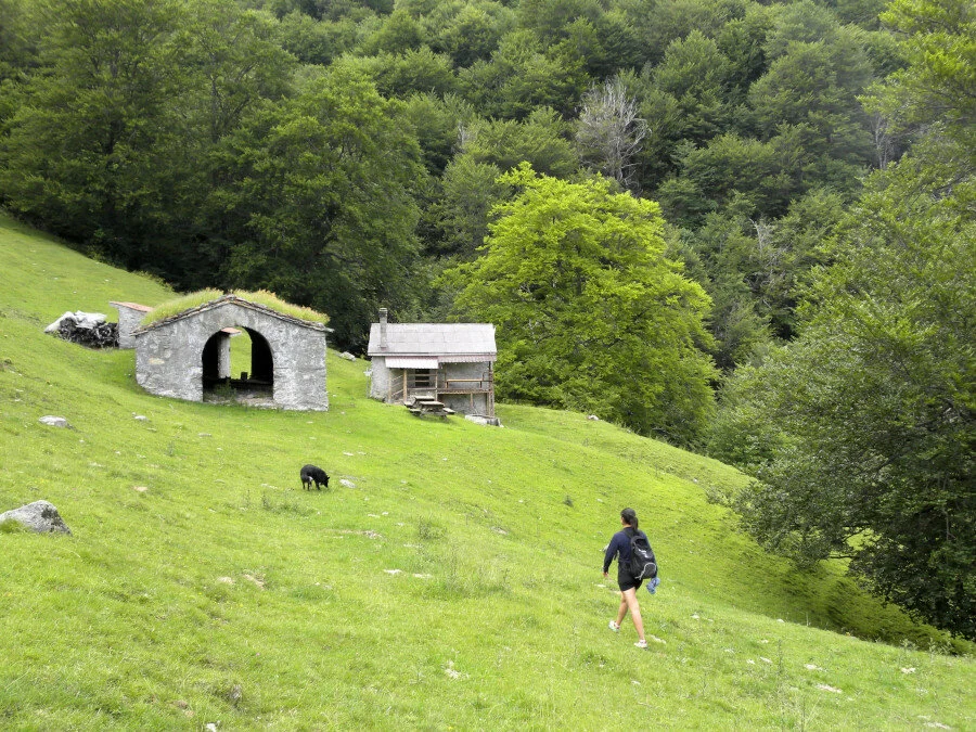 Traversata Val Rezzo-Valsolda