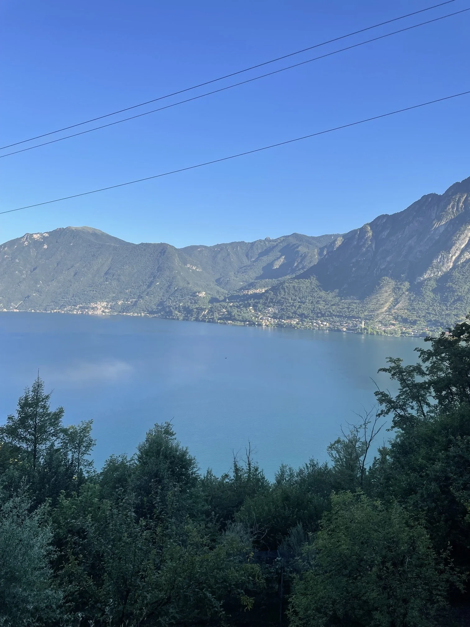 IMG_6265.jpeg