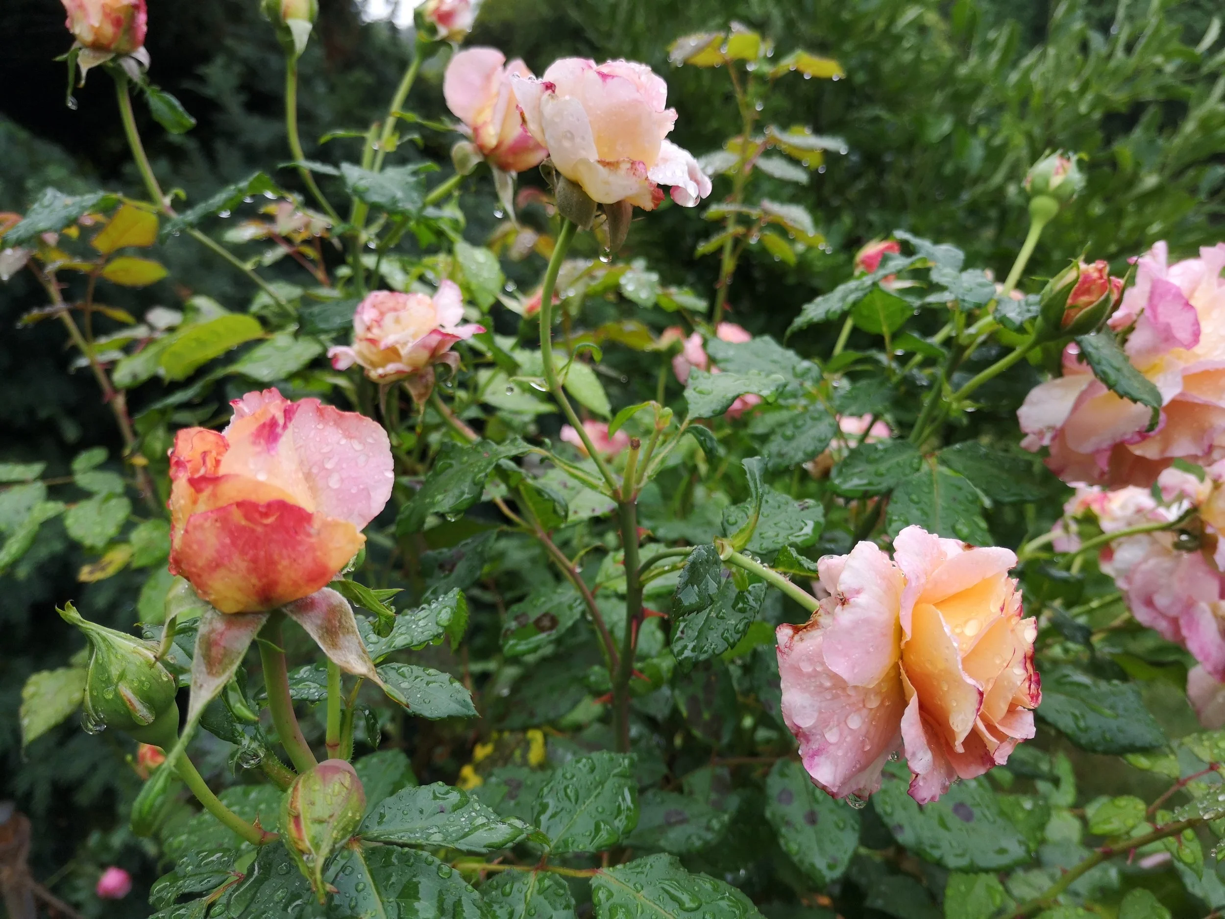 How I hold myself