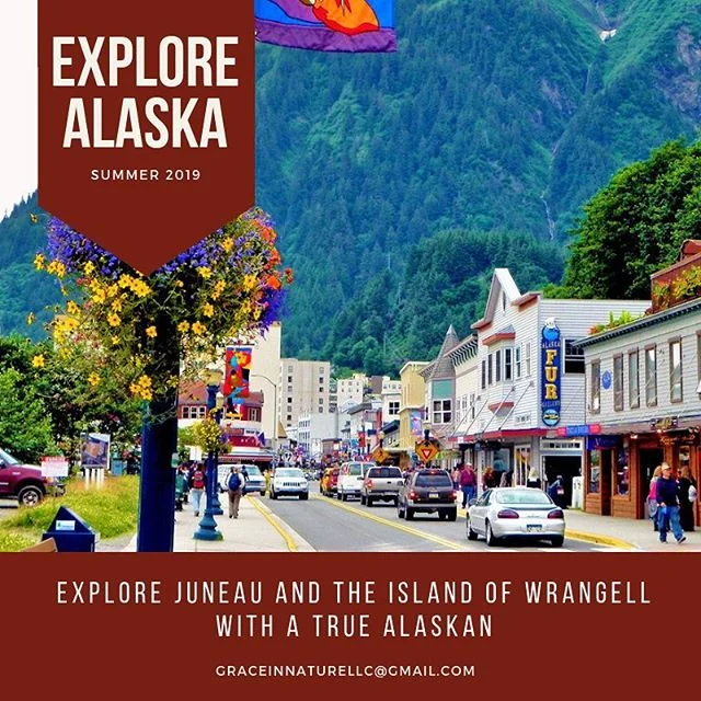 ***January 1st is the last day to SAVE! Don&rsquo;t miss out on the Early Bird Discount!*** EXPLORE THE LAST FRONTIER : SOUTHEAST ALASKA
JUNEAU &amp; THE ISLAND OF WRANGELL

JUNE 29 - JULY 7, 2019

A CONSCIOUSLY CURATED EXPERIENCE
with
DIANA BRYSON B