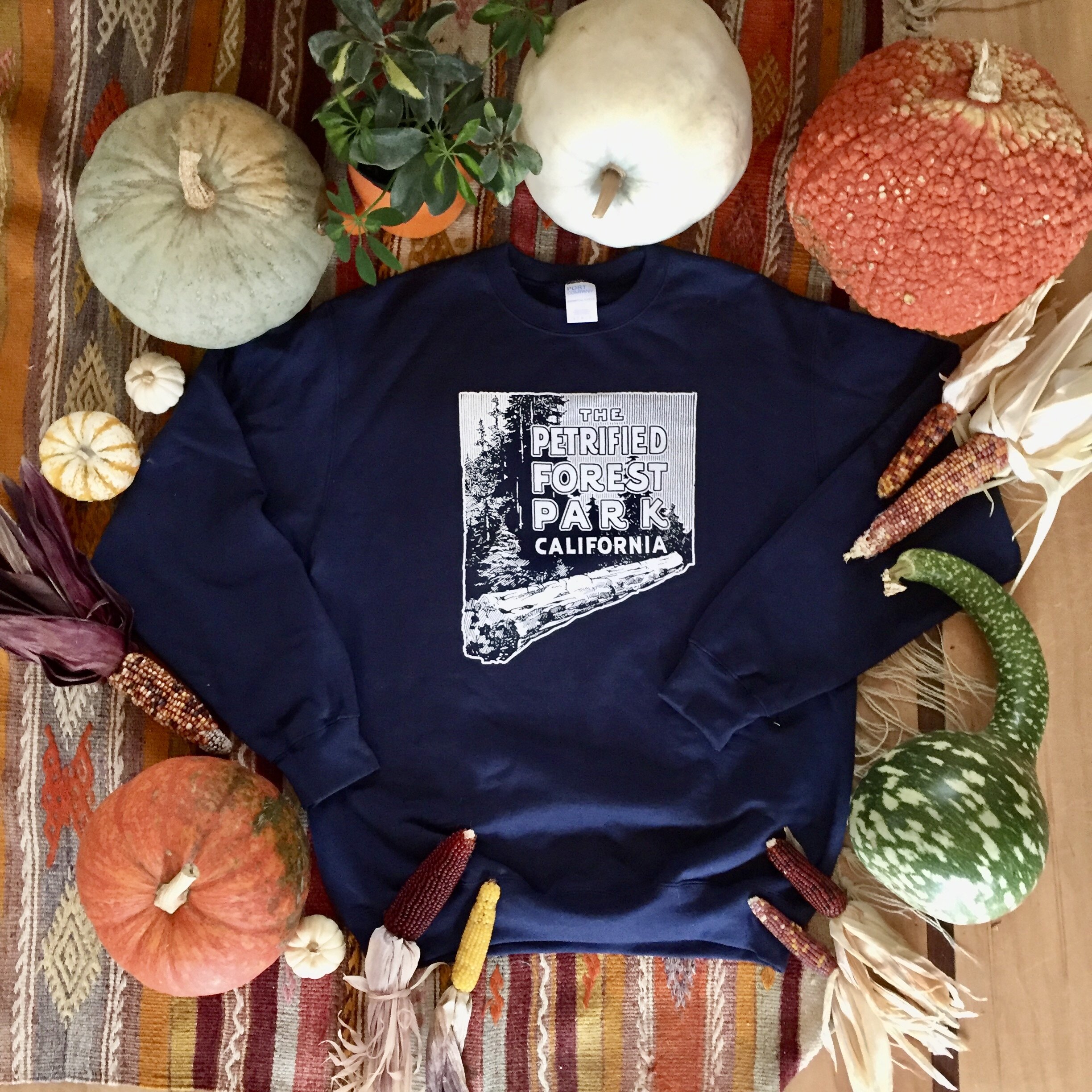 Petrified Forest Sweatshirt