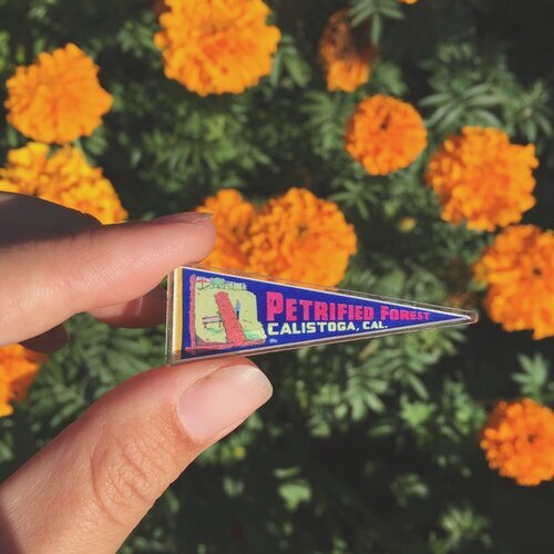 Petrified Forest Flag Pin