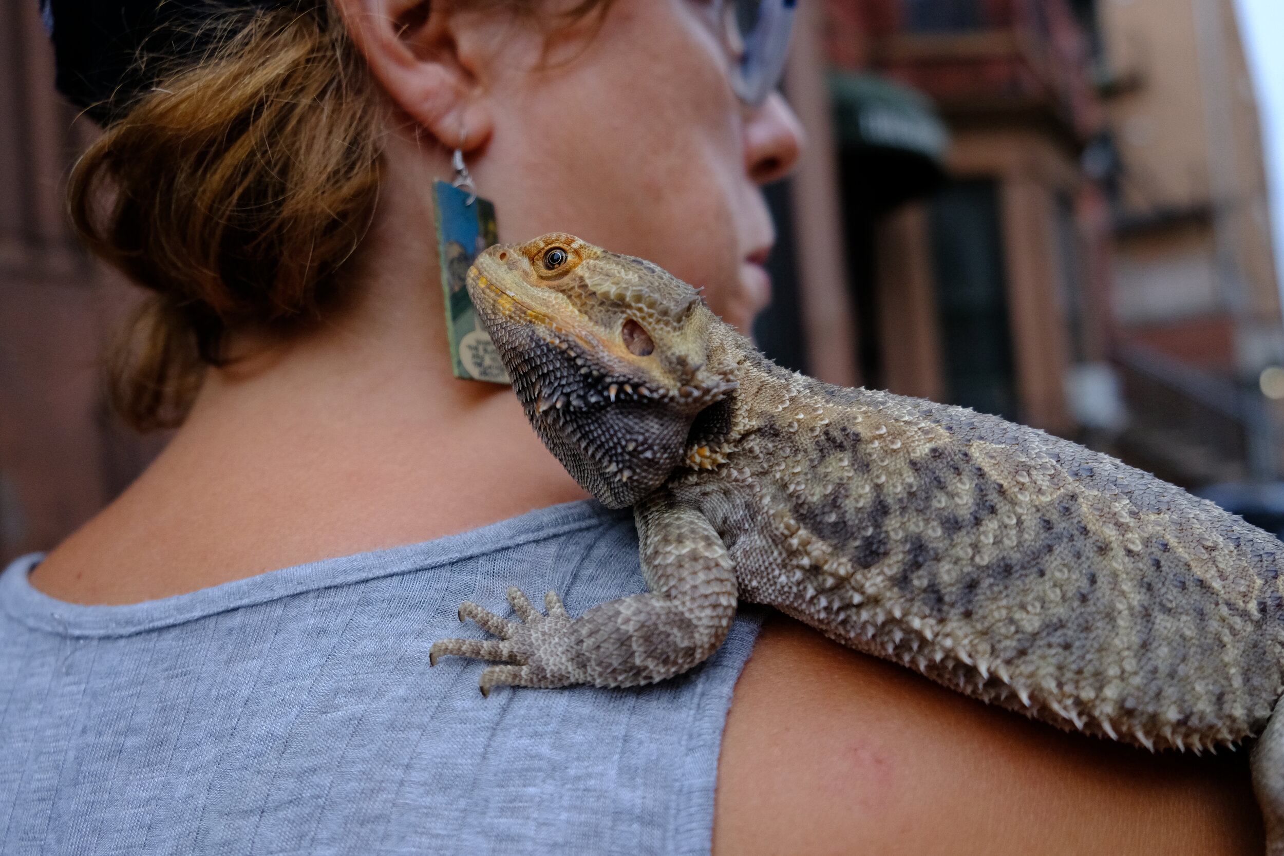 Raina and Judy. Brooklyn, USA  