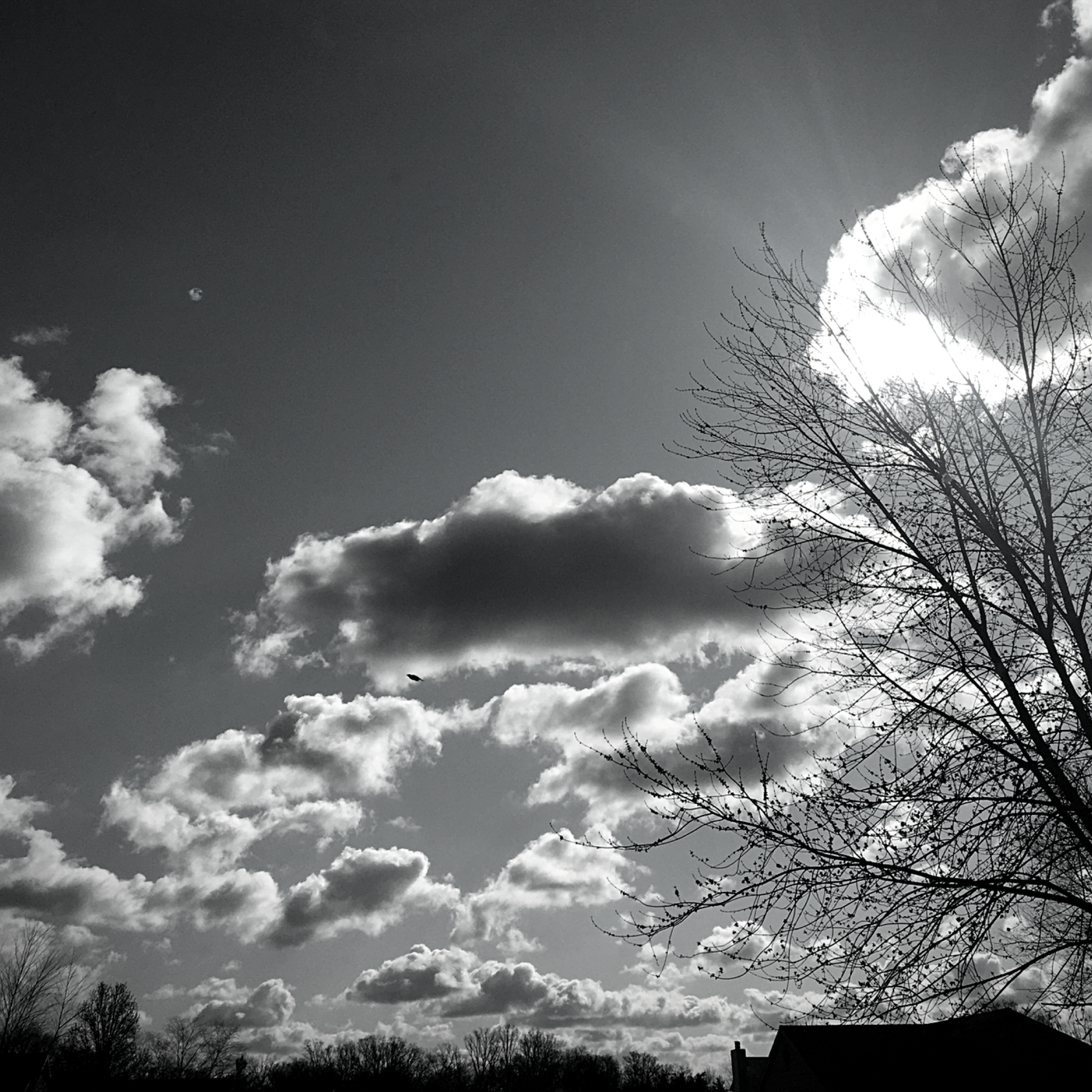 Pursuing Presence in Isolation (Pt. 3)