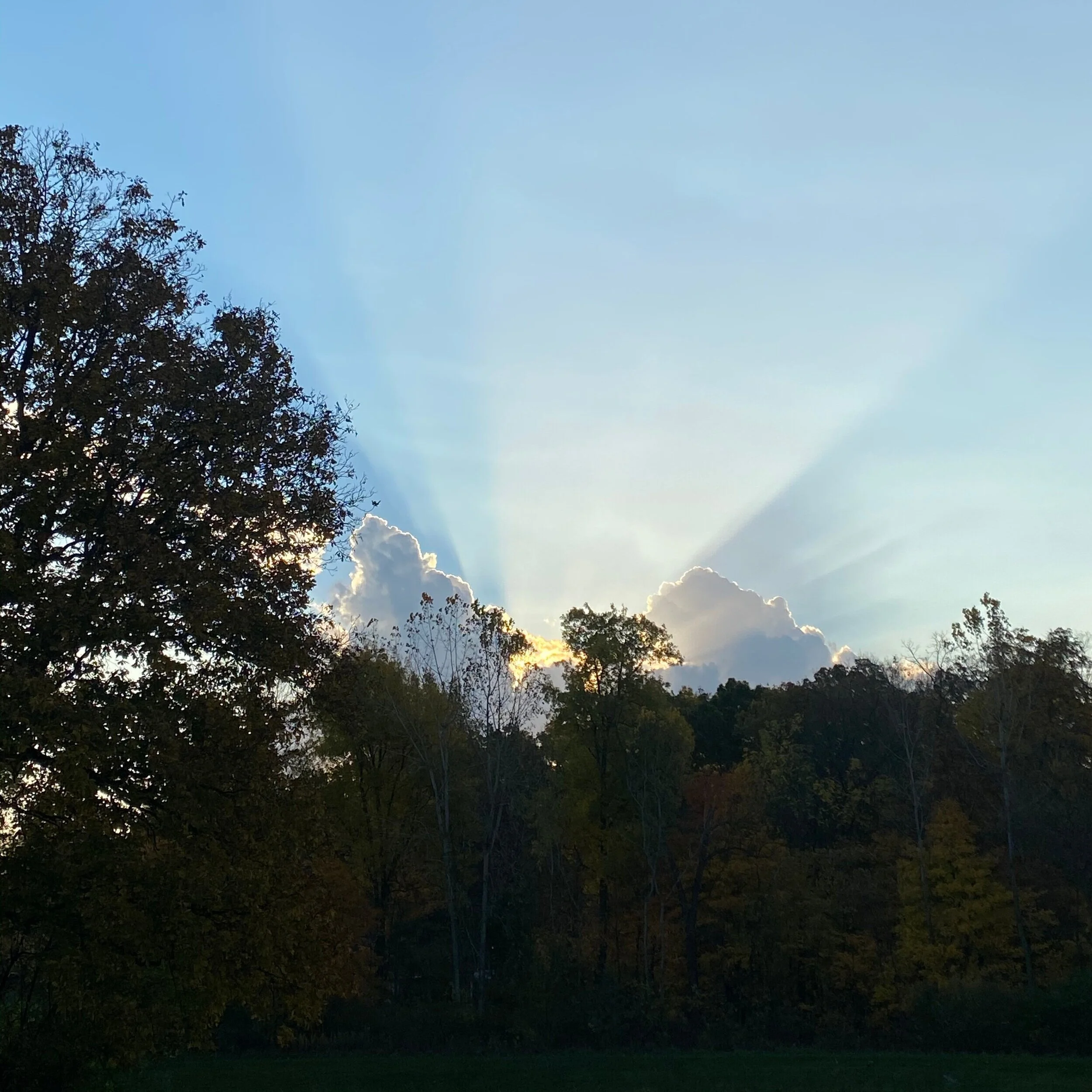 Liturgy of the Little Things