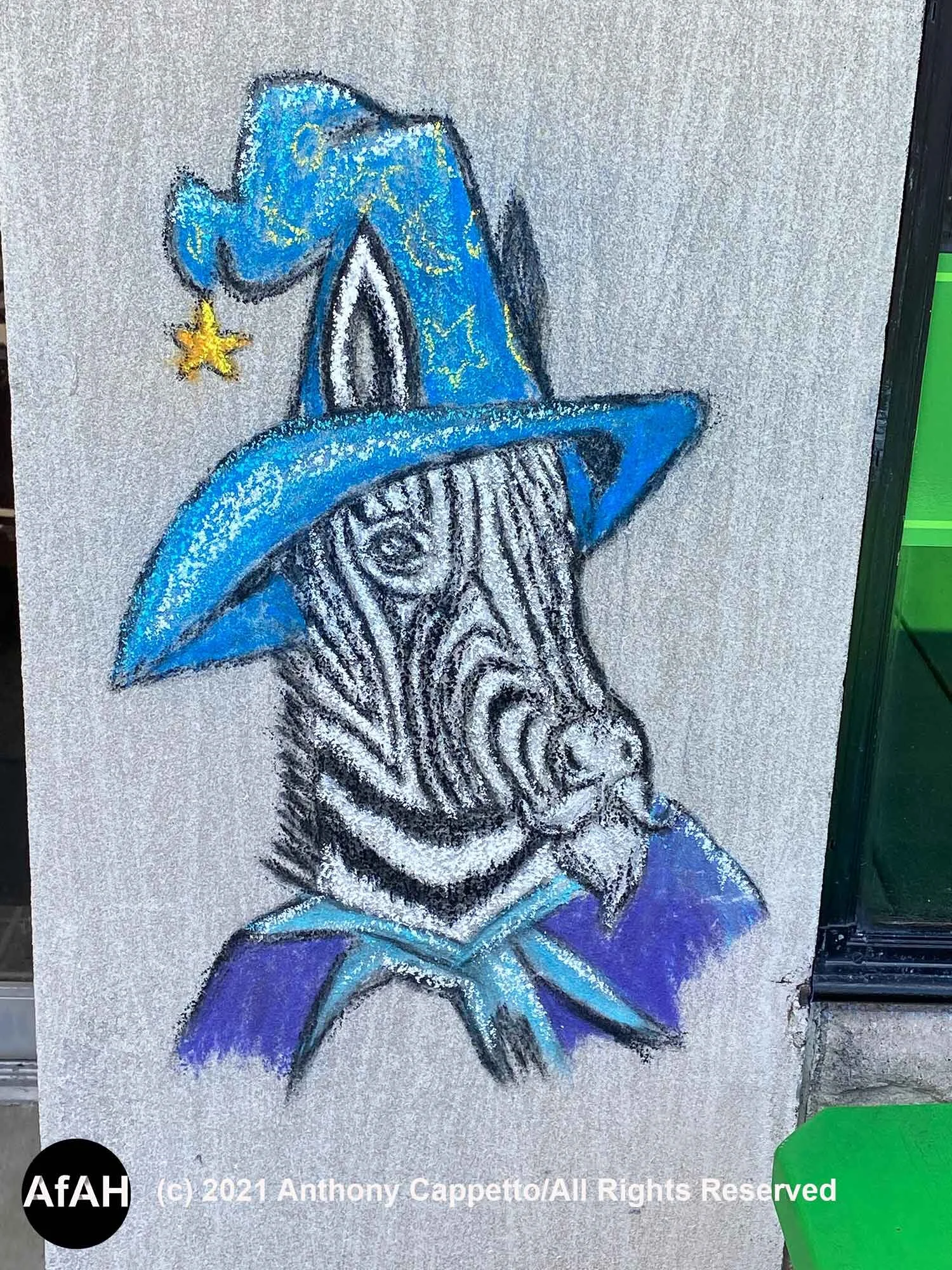 Zebra Wizard