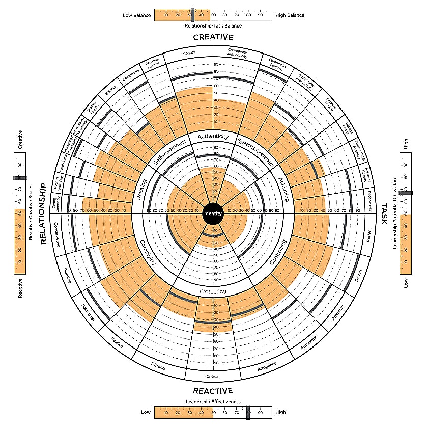 LEADERSHIP-CIRCLE-PROFILE.jpg