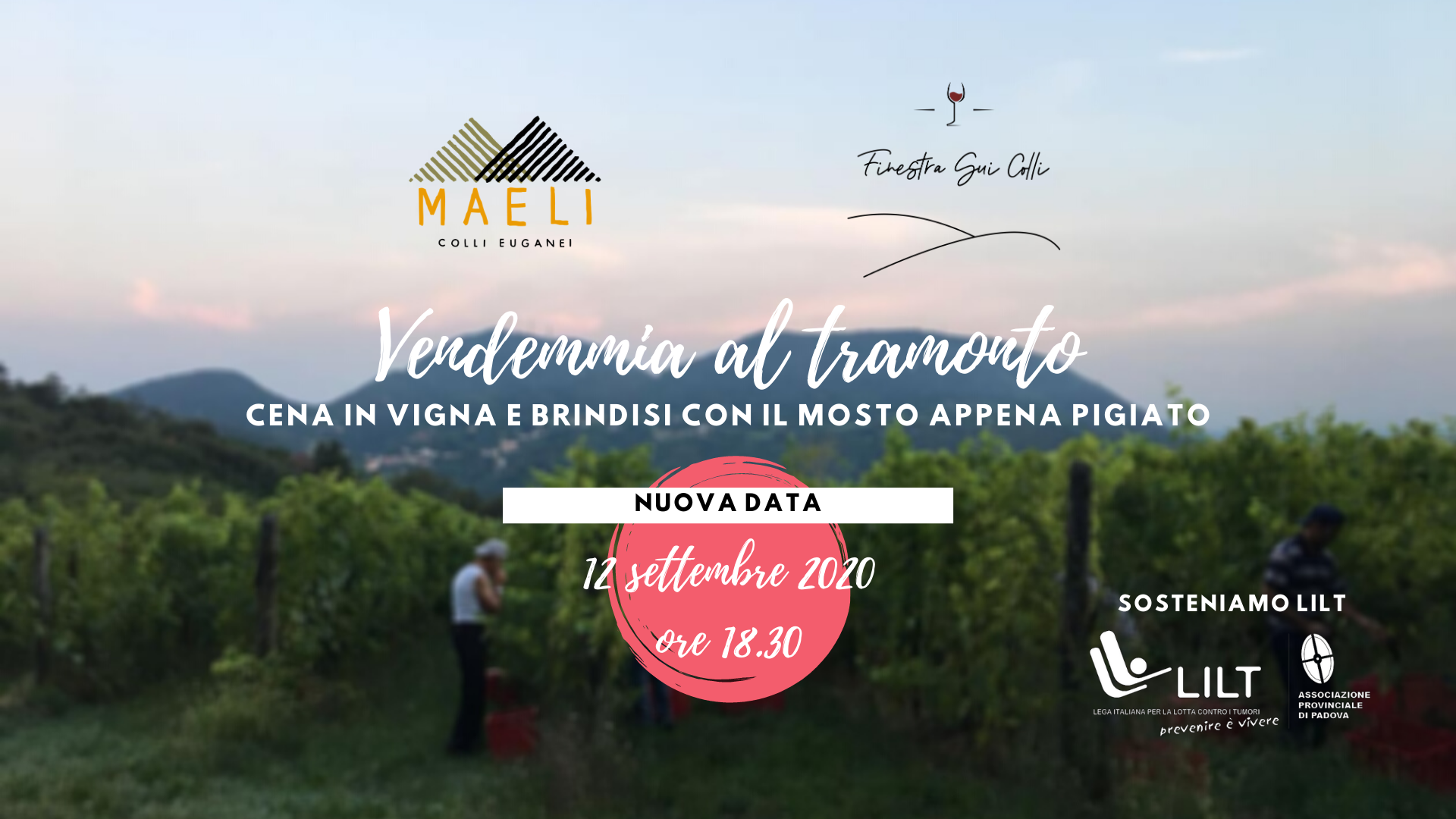 Vendemmia al tramonto