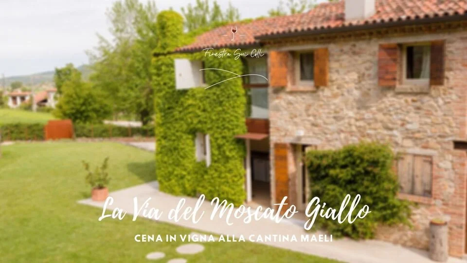 La Via Del Moscato Giallo - Cena in Vigna alla Cantina Maeli