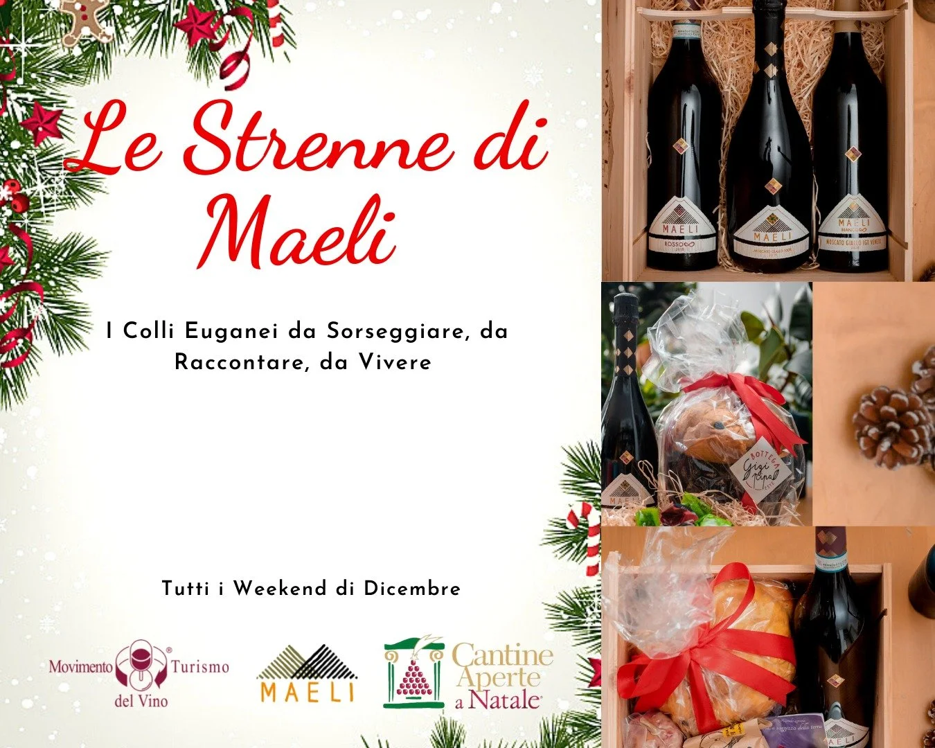 CANTINE APERTE A NATALE: LE STRENNE DI MAELI