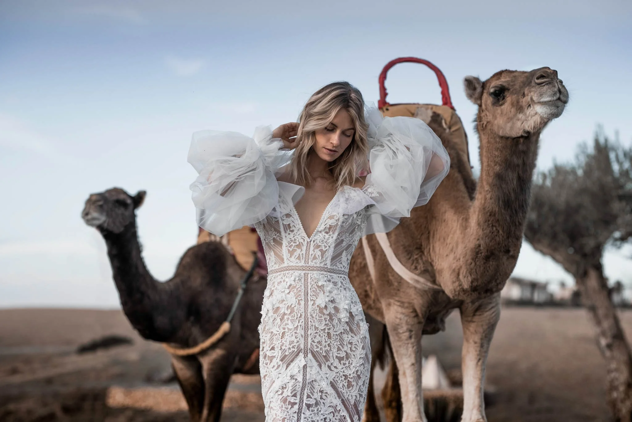 Bride wearing french lace and silk organza fit and flare  wedding gown from  "Ivy" from Atelier Edwin Oudshoorn