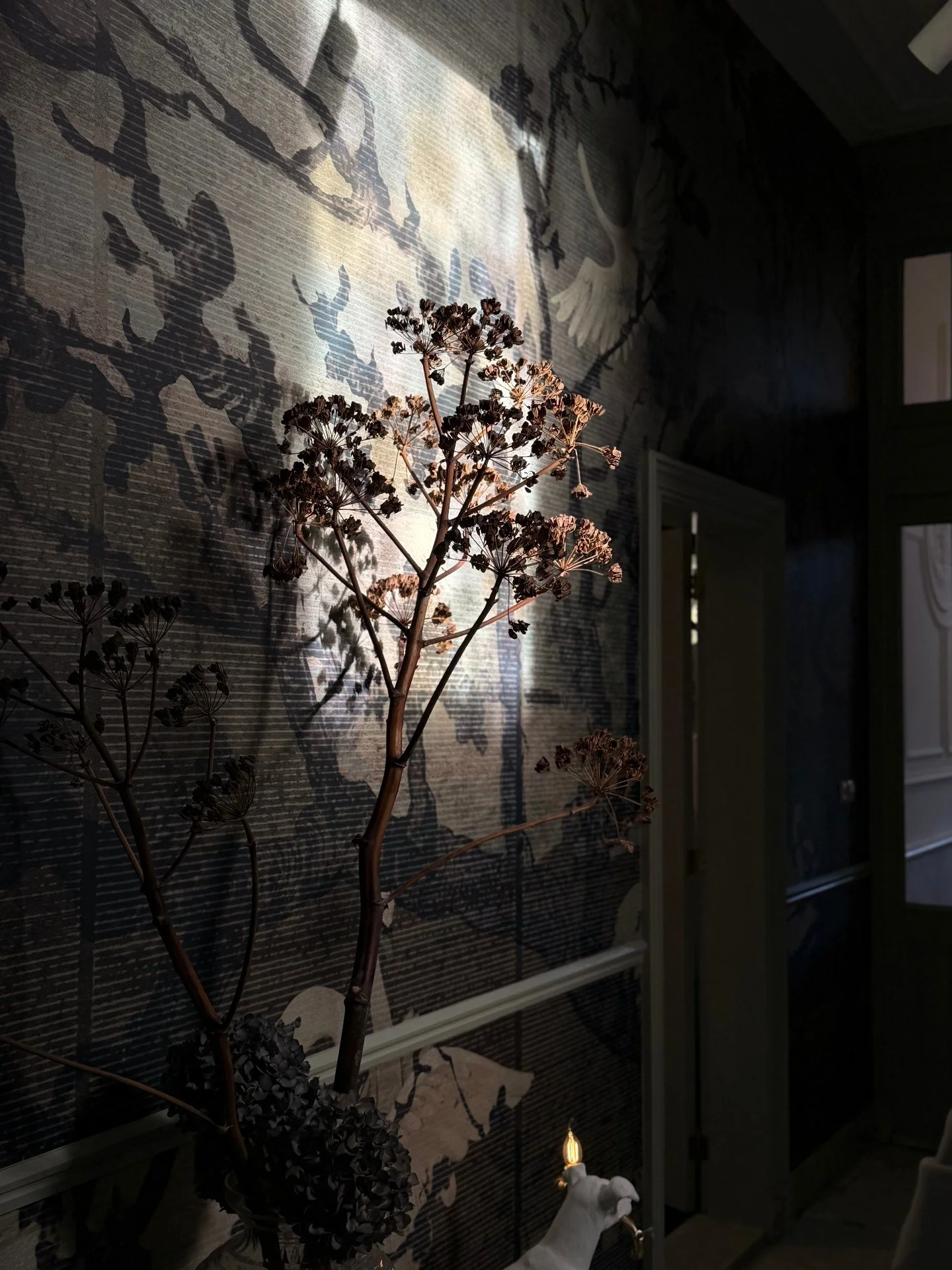 Still in love with the light here in the boutique......

Light and Shadows......

Welcome to our little piece of heaven