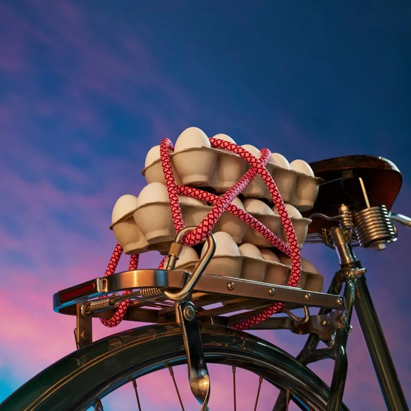 EGGS_ON_BIKE.jpg