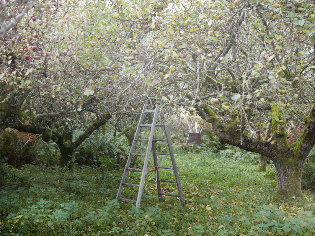 mustboken_höst2020_274.jpg
