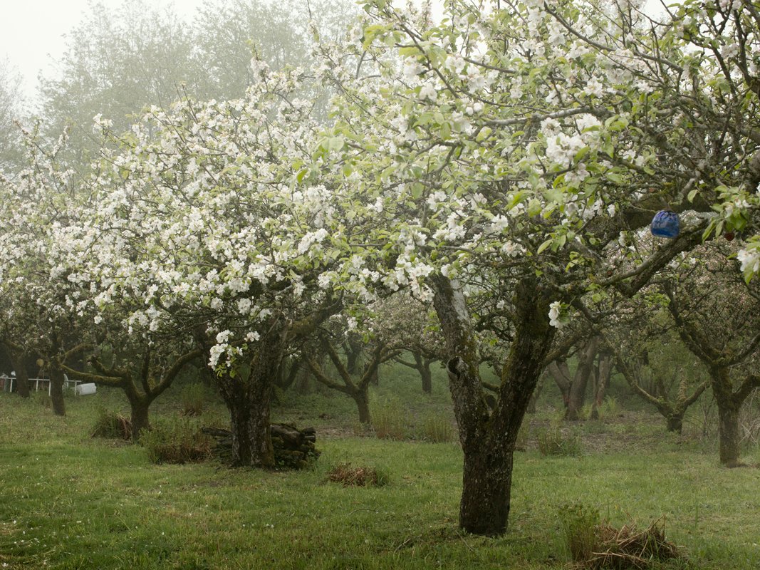 mustboken_maj2019_002.jpg
