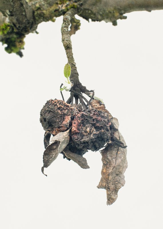 mustboken_maj2019_124.jpg