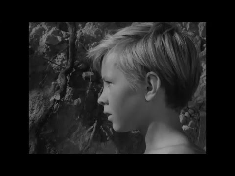 Ivan's Childhood - Andrei Tarkovsky