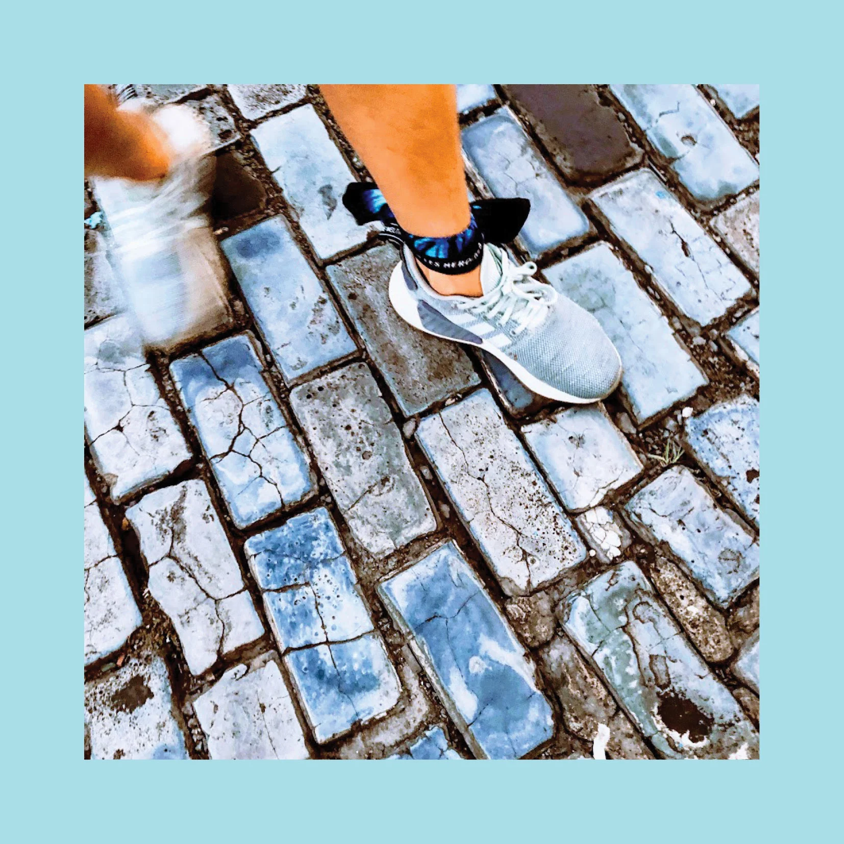 vlh with border5.jpg