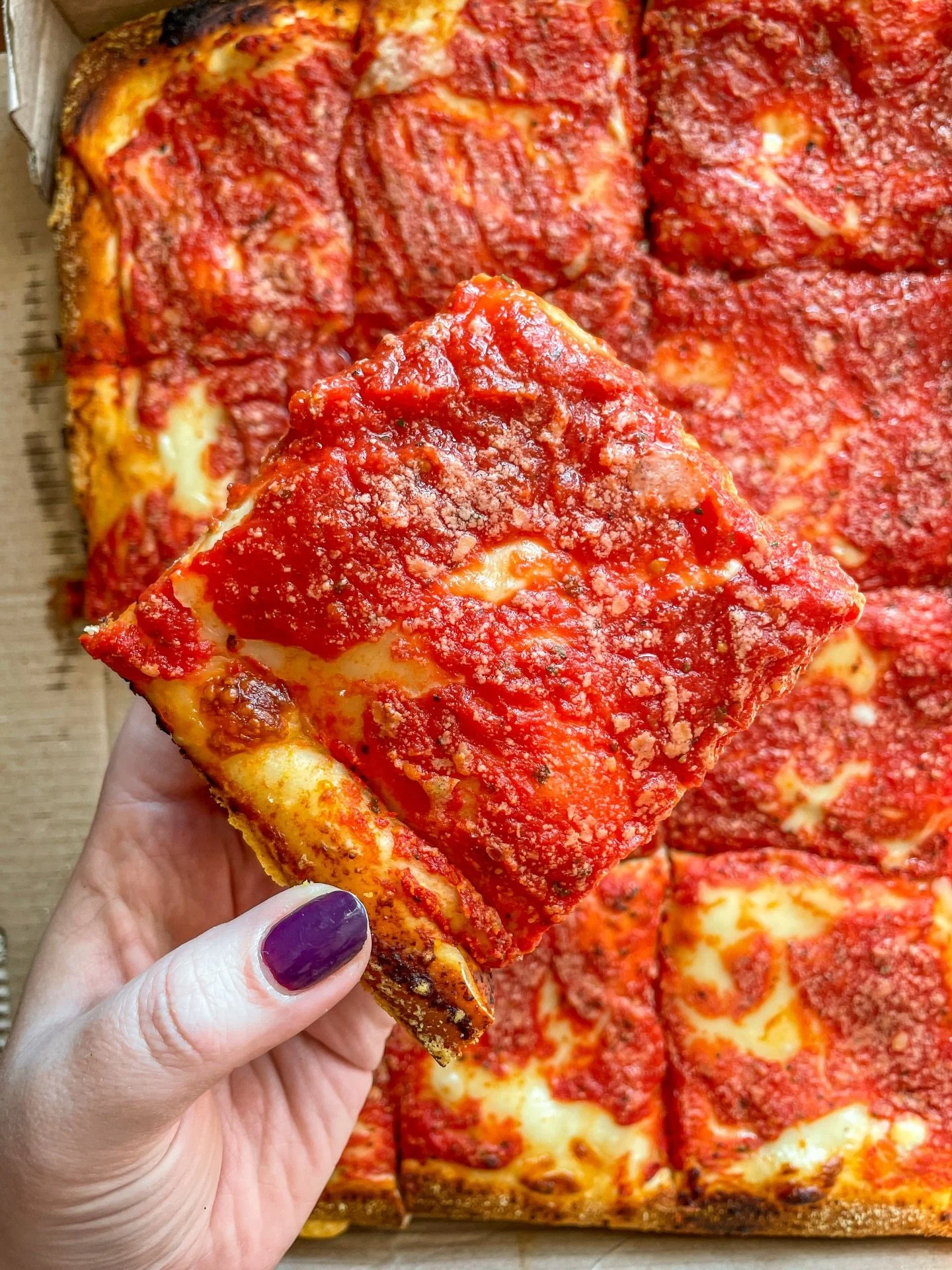 First remotely warm day of the year got me thinking about a fresh pie from @lbspumonigardens &hellip;
.
.
.
.
#lbspumonigardens #upsidedownpizza #sicilianpizza #southbrooklynfoodanddrink #itsmostlypizza