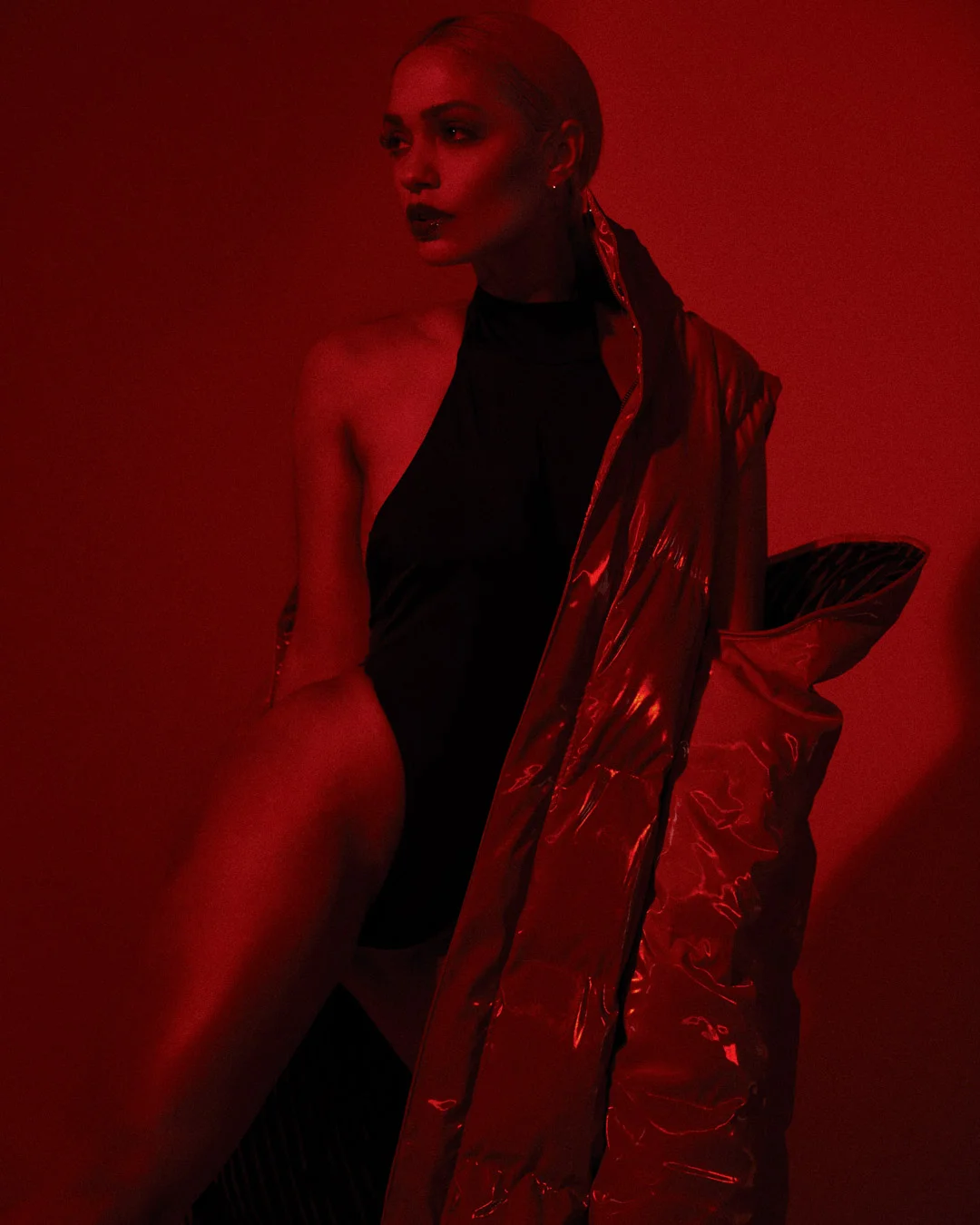 palomaford28338 4.JPG