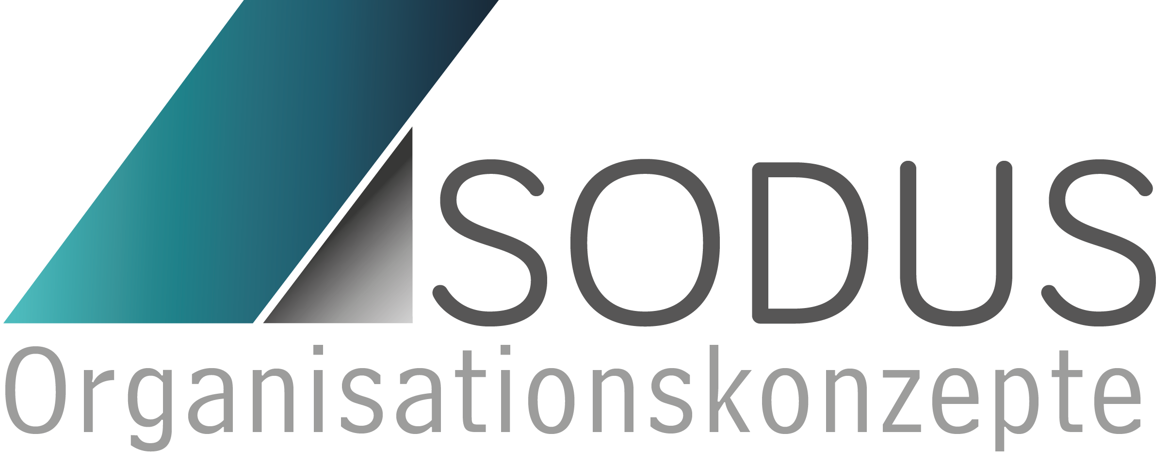 Sodus Organisationskonzepte