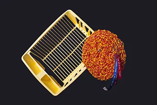 “Toughy with Dish Drainer” by Barbara Cade ©