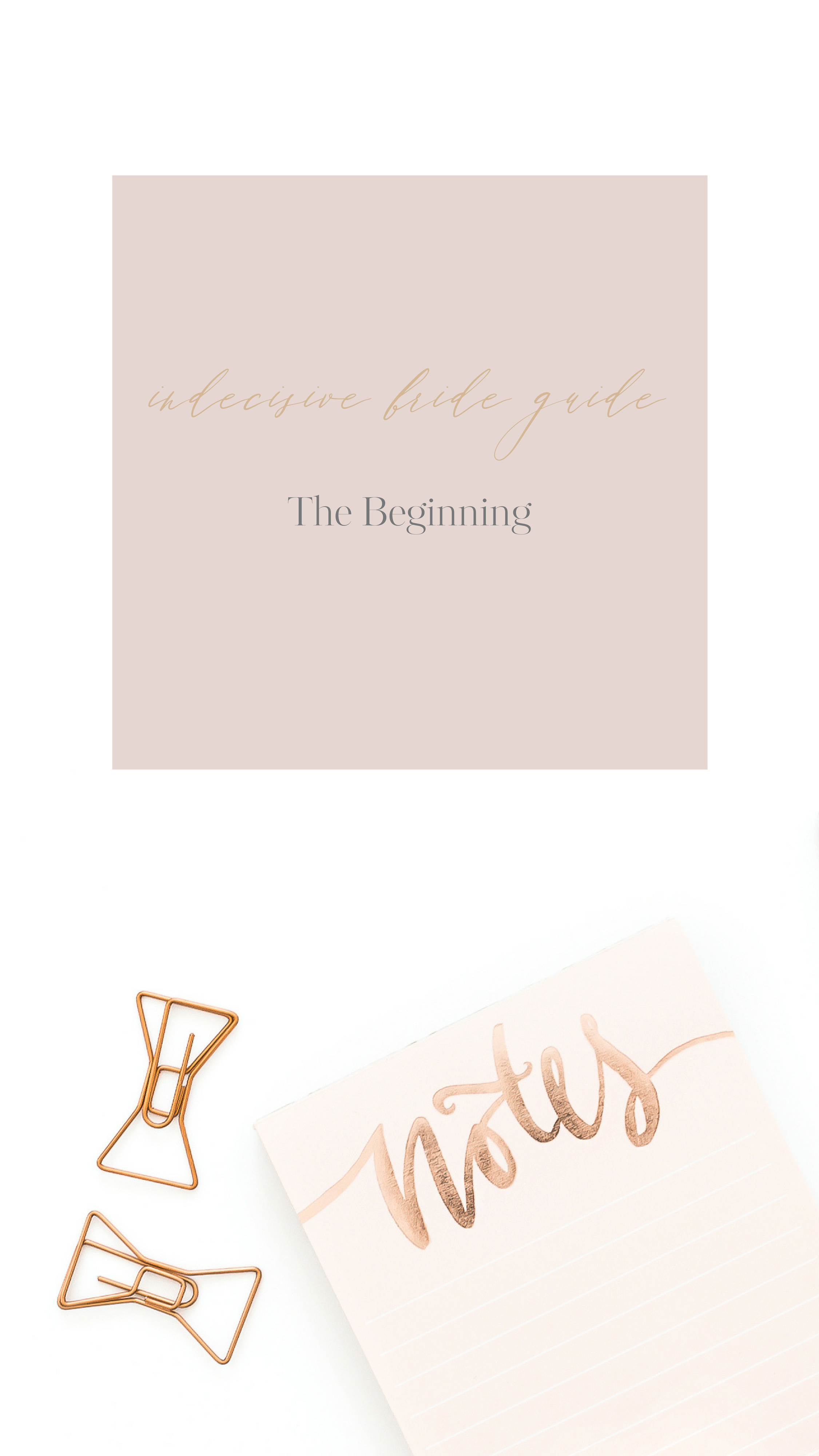 Introducing: The Indecisive Bride