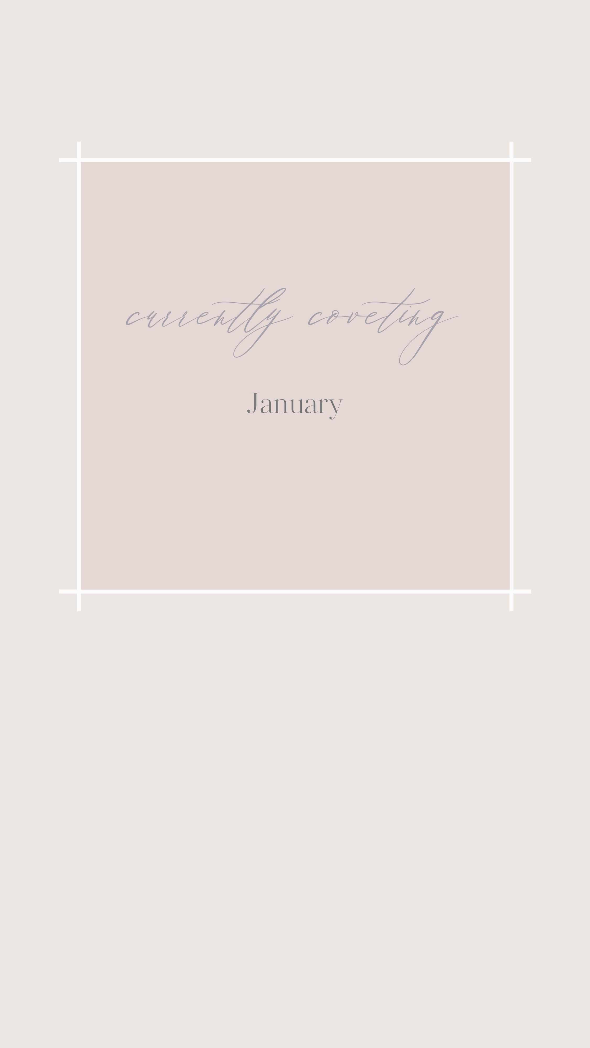 Currently Coveting | January