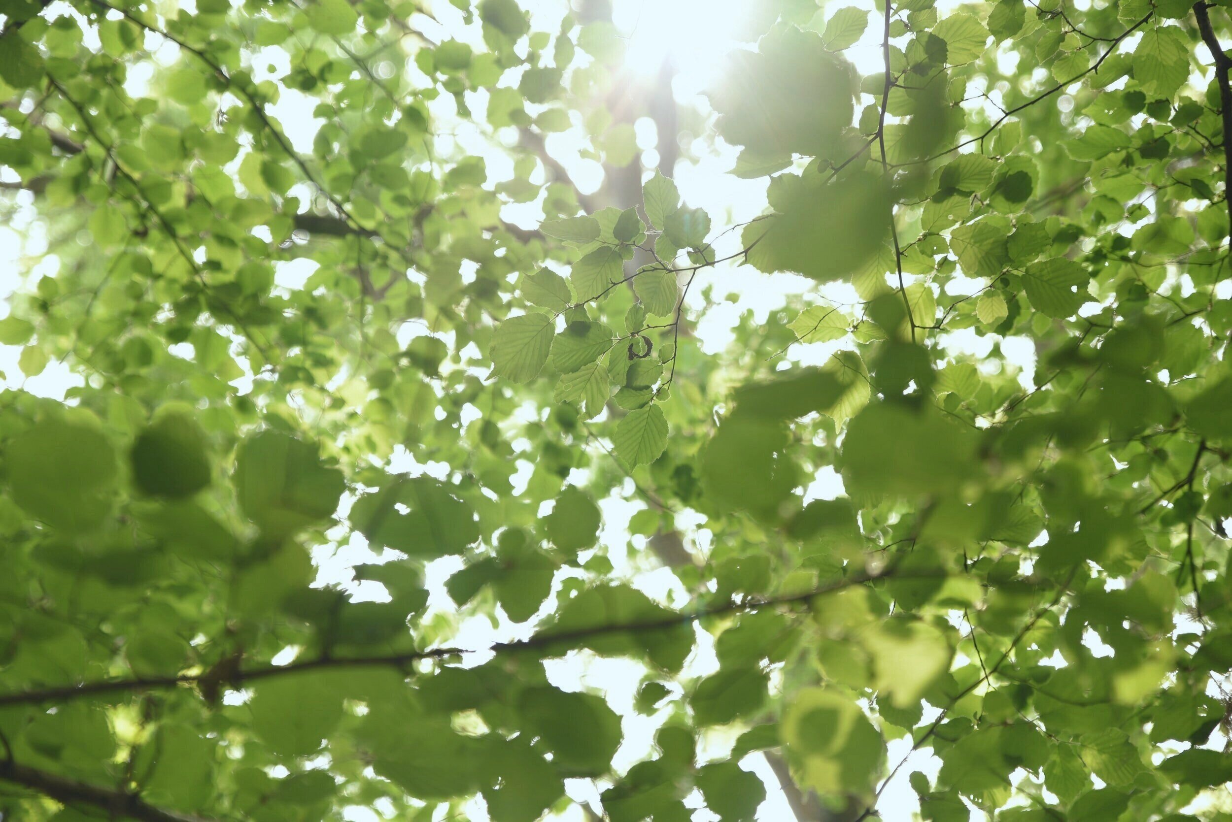 unsplash-image-98NdUMpmPqA.jpg