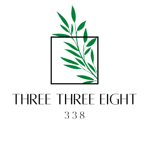 Three Three Eight