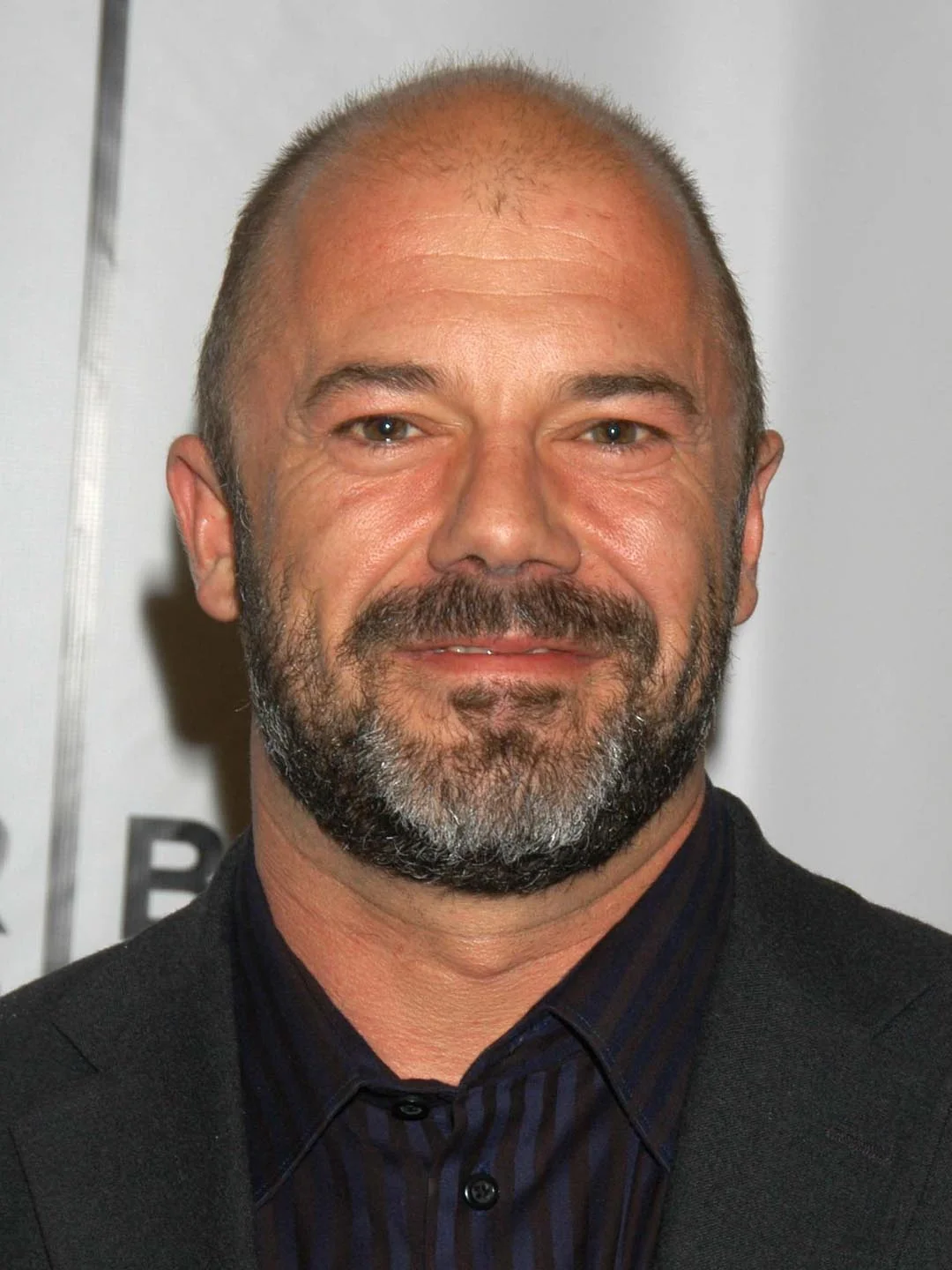 andrew sullivan.jpg