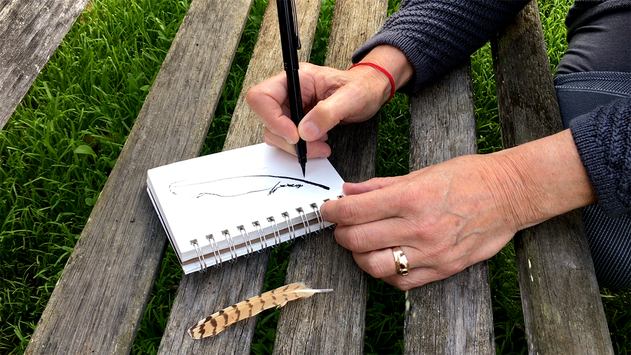 drawing a feather demo.png