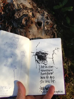 Hole in tree, something lived there, now its open for new life, by Annette Wagner, 2013, Terra Sophia Sanctuary