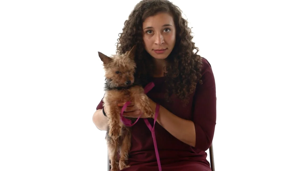  The Ashley Madison hack led a lot of cheating spouses to get caught. So we suggested their parters find a more loyal life partner: a rescue dog.  It won:  Shorty - Real Time Response ;   The Internet   