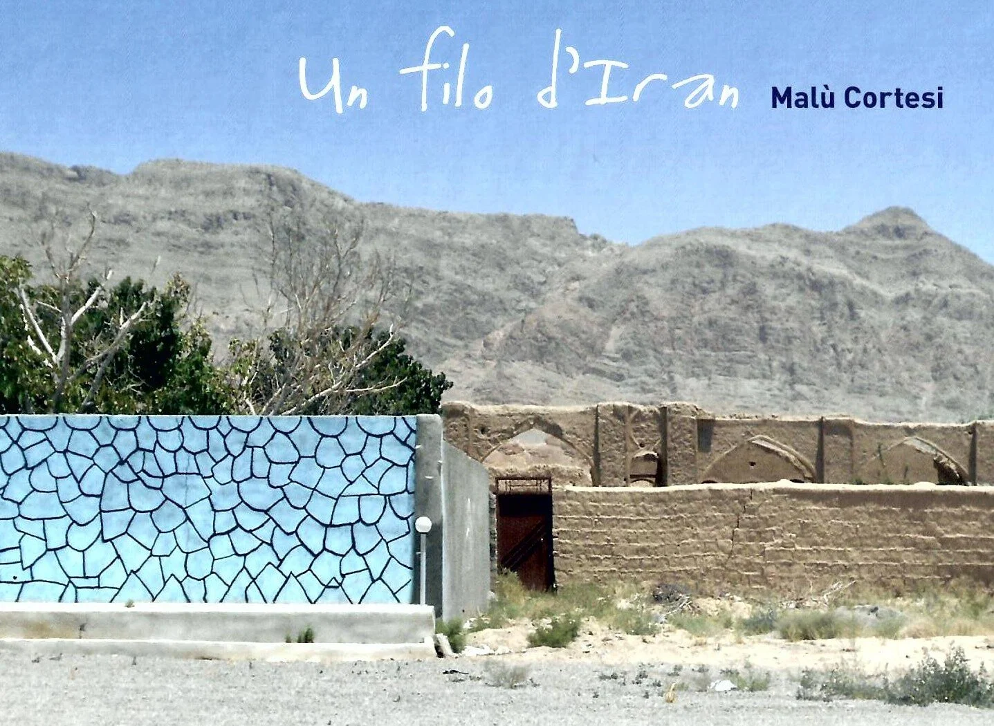 "Un filo d'Iran" di Malù Cortesi