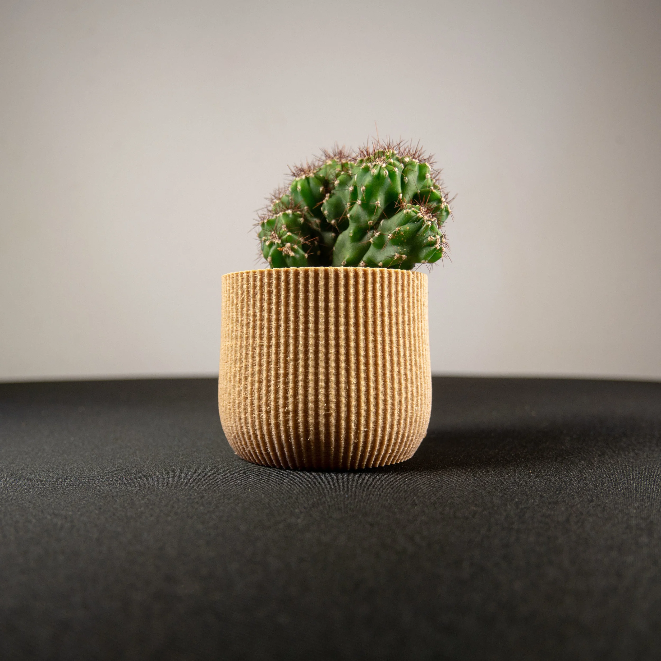 cache pots - made in france - cactus - plantes grasses - écologique - biodégradable - 3D - fabriqué à Lyon