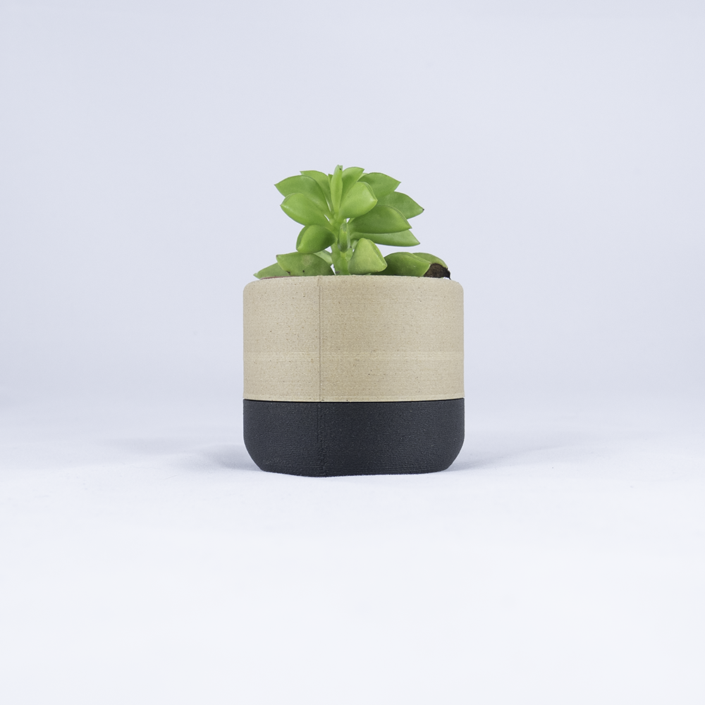 cache pots - made in france - cactus - plantes grasses - écologique - biodégradable - 3D - fabriqué à Lyon