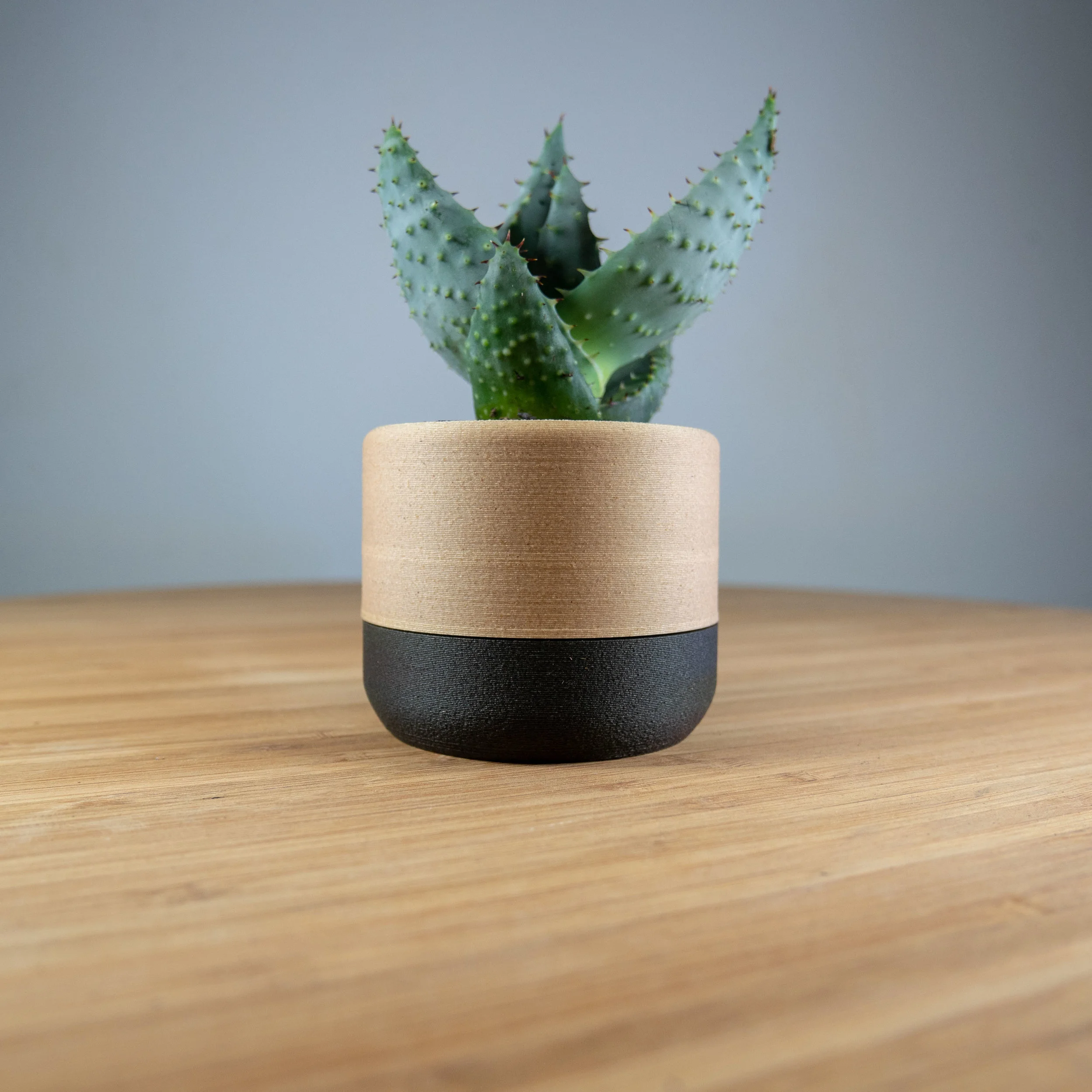cache pots - made in france - cactus - plantes grasses - écologique - biodégradable - 3D - fabriqué à Lyon