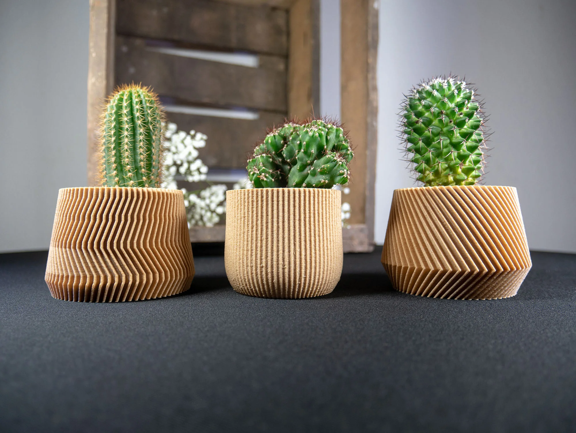 cache pots - made in france - cactus - plantes grasses - écologique - biodégradable - 3D - fabriqué à Lyon