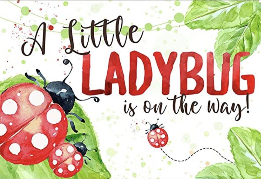 b-ladybug.png