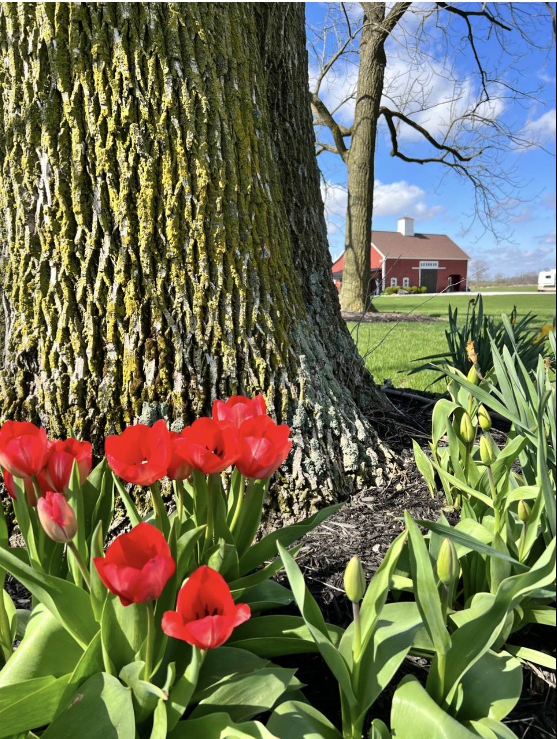 Screenshot 2023-01-01 at 12.44.25 AM.png