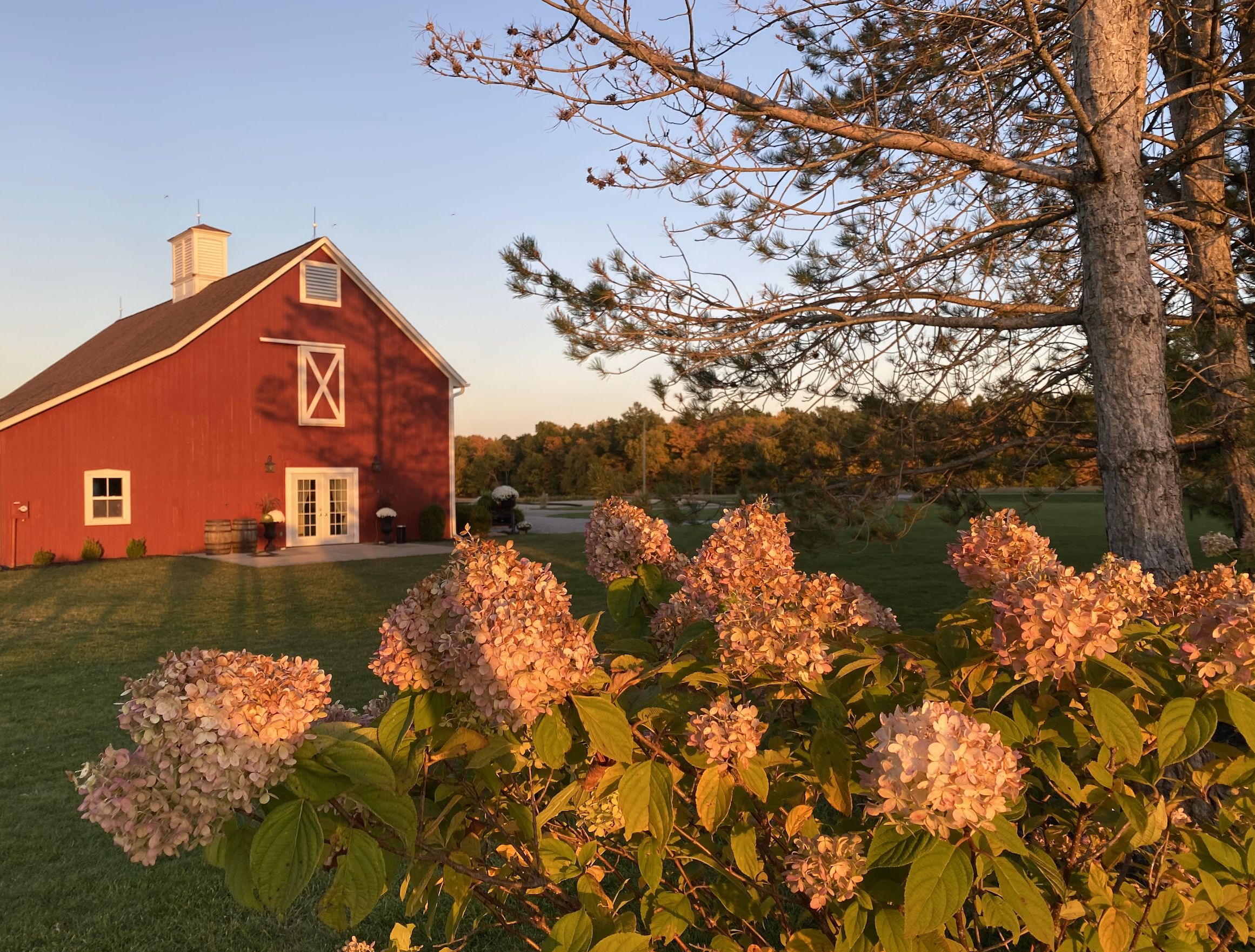 Screenshot 2026-03-17 at 7.16.54 PM.png