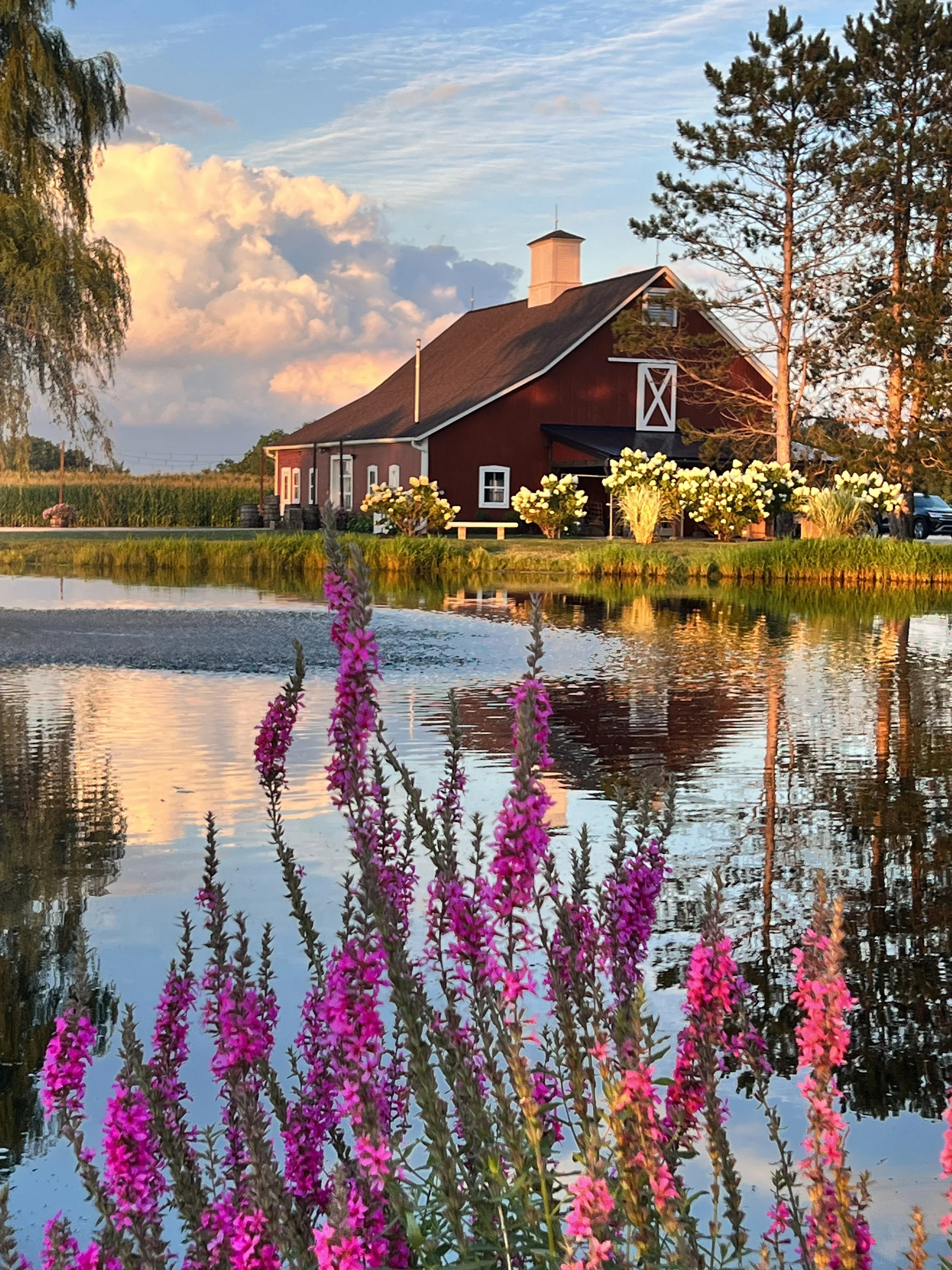 A HIDDEN GARDEN WEDDING VENUE IN COLUMBUS OHIO 