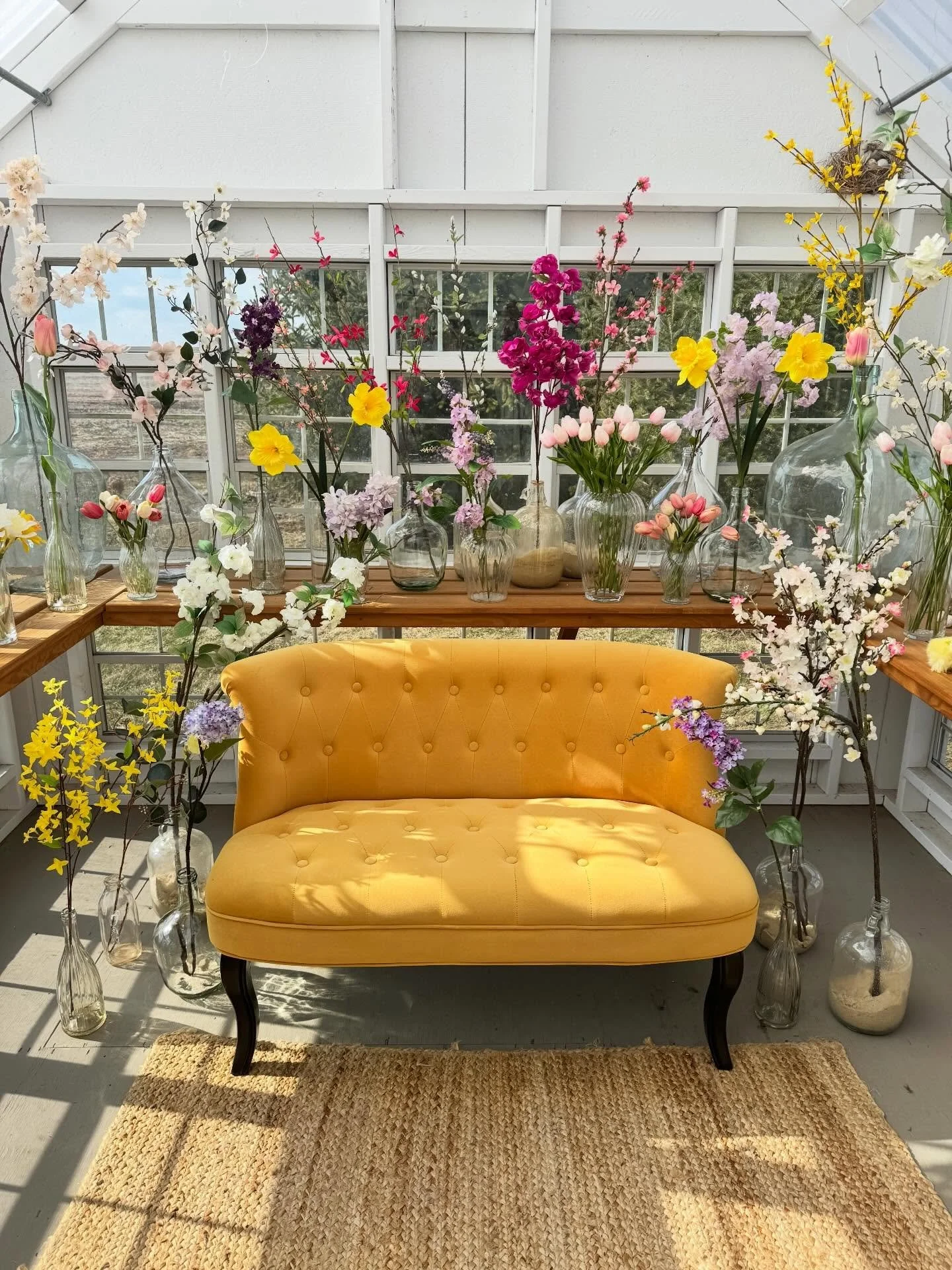 Greenhouse Spring update! 
Spring blossoms and branches! 
Also a quick bunny hop and you have Easter! 
When the sun is shining it is heaven in here! 

#springphotography 
#columbusweddingvenue 
#springgreenhouse