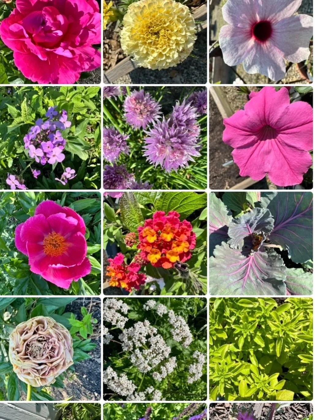 What&rsquo;s on your camera roll?
