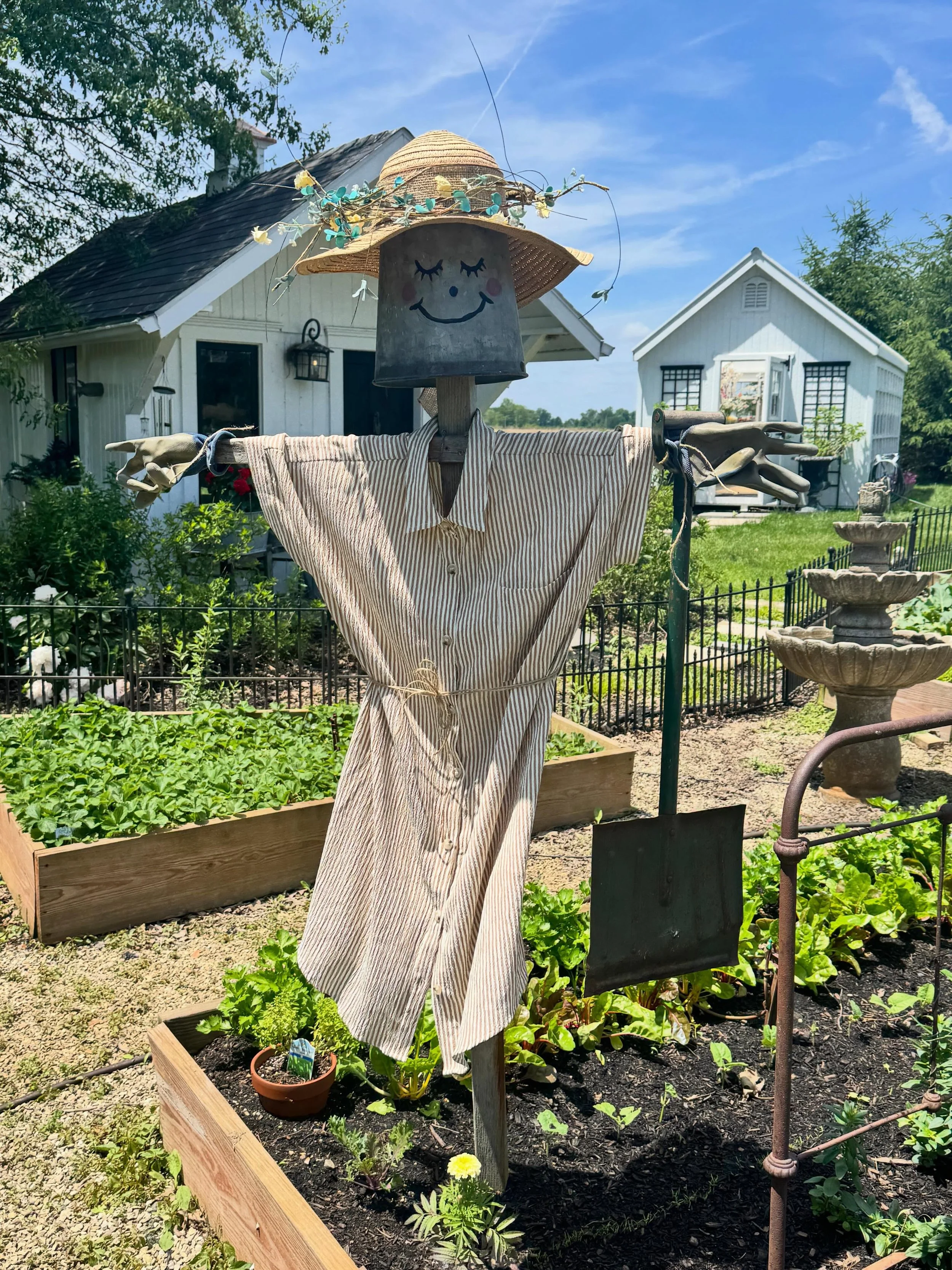 The darn birds keep eating all my seedlings so I had to hire a new garden keeper&hellip;