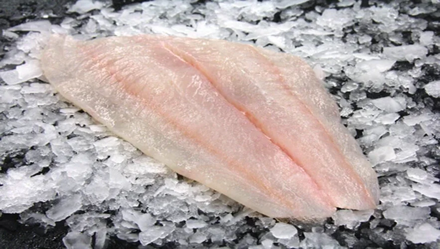 Halibut.jpg
